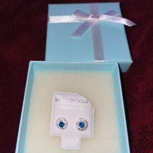 Blue and Silver Stud Earrings